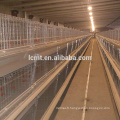 Cage de poulet de chair (ISO9001) pour la ferme avicole